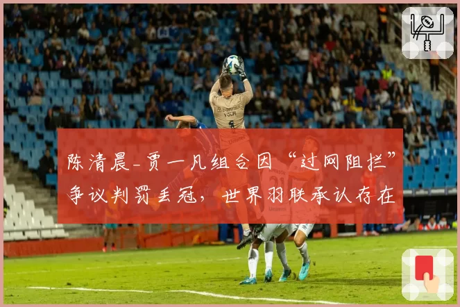 陈清晨_贾一凡组合因“过网阻拦”争议判罚丢冠，世界羽联承认存在误判可能