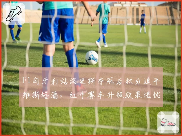 F1匈牙利站诺里斯夺冠后积分追平维斯塔潘，红牛赛车升级效果堪忧