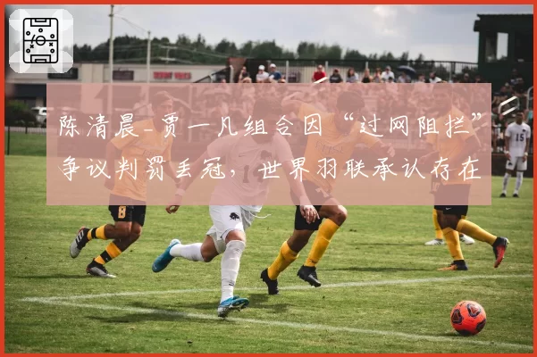 陈清晨_贾一凡组合因“过网阻拦”争议判罚丢冠，世界羽联承认存在误判可能