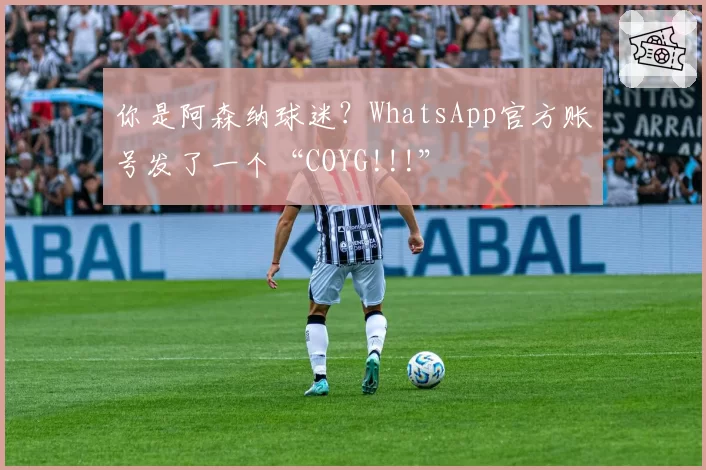你是阿森纳球迷？WhatsApp官方账号发了一个“COYG!!!”