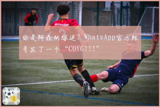 你是阿森纳球迷?WhatsApp官方账号发了一个“COYG!!!”